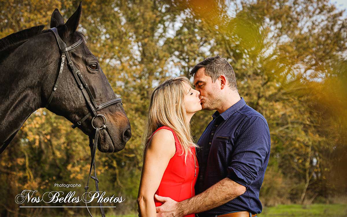 Photographe équestre Yvelines