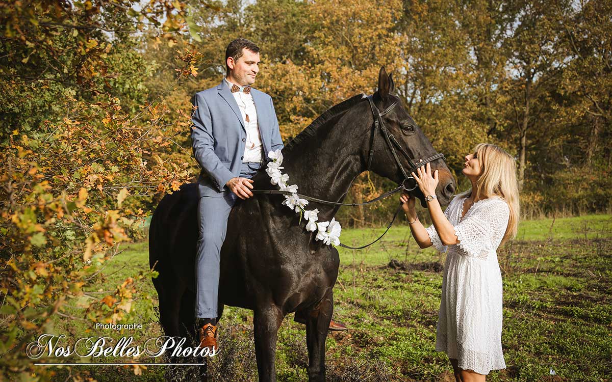 Photographe équestre Bois-d'Arcy, séance photo portrait cheval équestre à Bois-d'Arcy