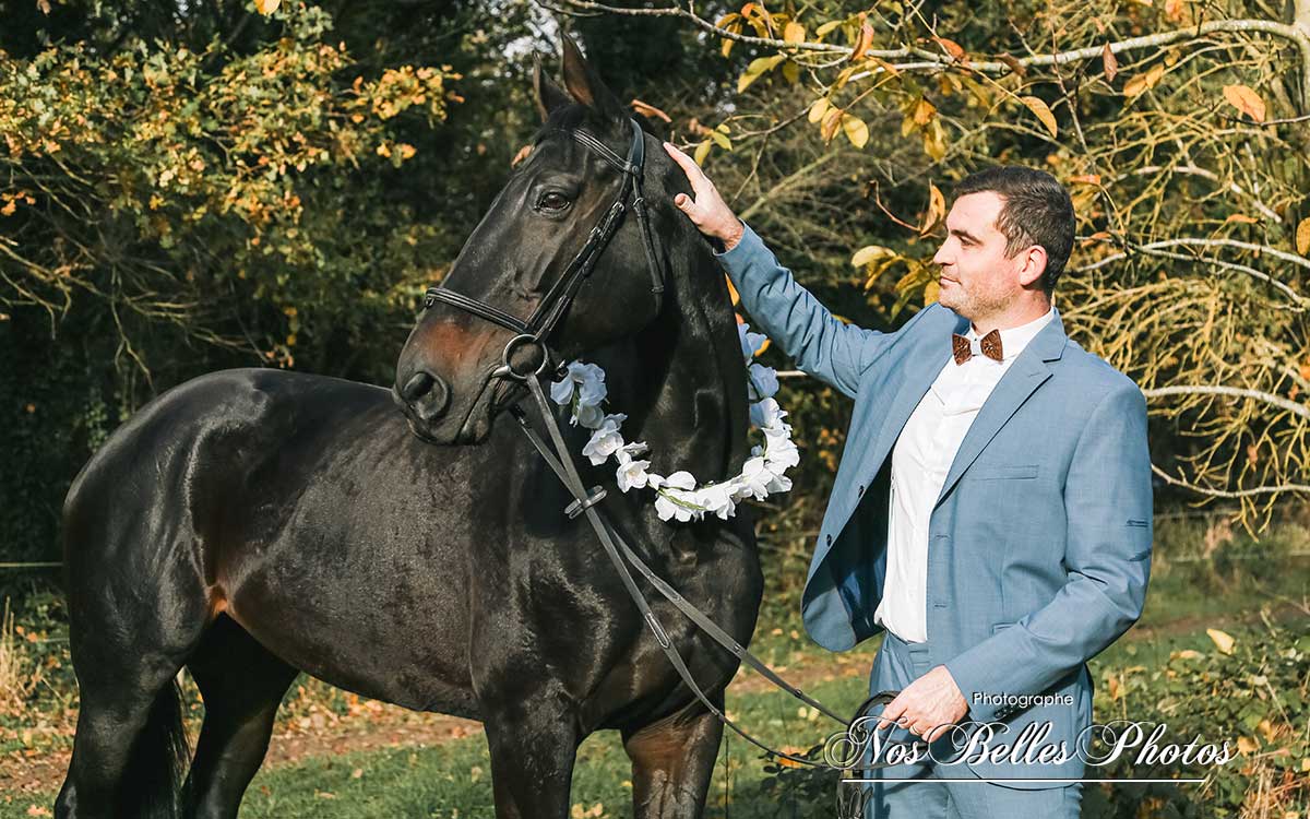 Shooting photo équestre Sannois Val-d'Oise, photographe équestre Sannois